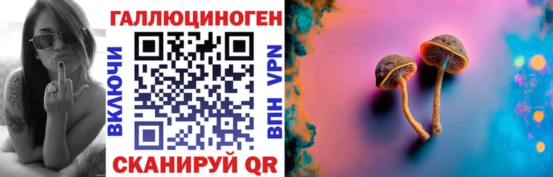 Галлюциногенные грибы Psilocybine cubensis наркошоп Тайшет